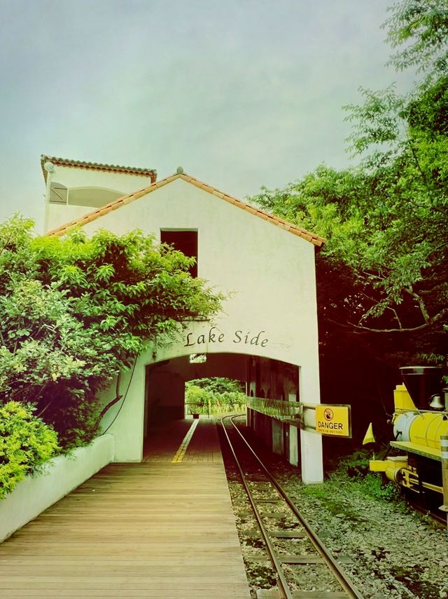 濟州島森林小火車|萌娃的童話森林樂園