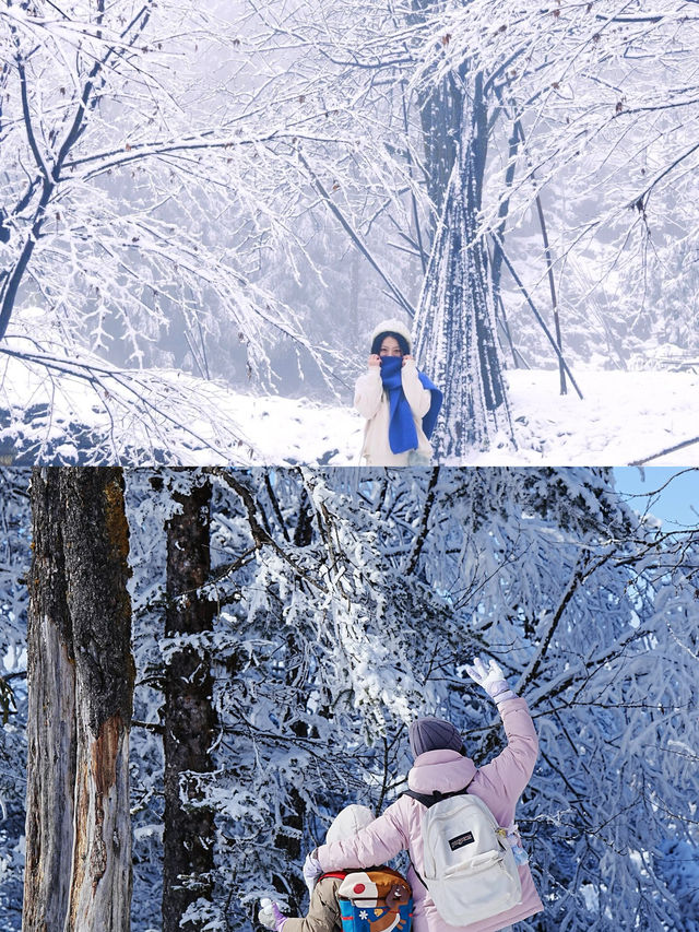 不是挪威去不起，西嶺雪山看雪更有性價比