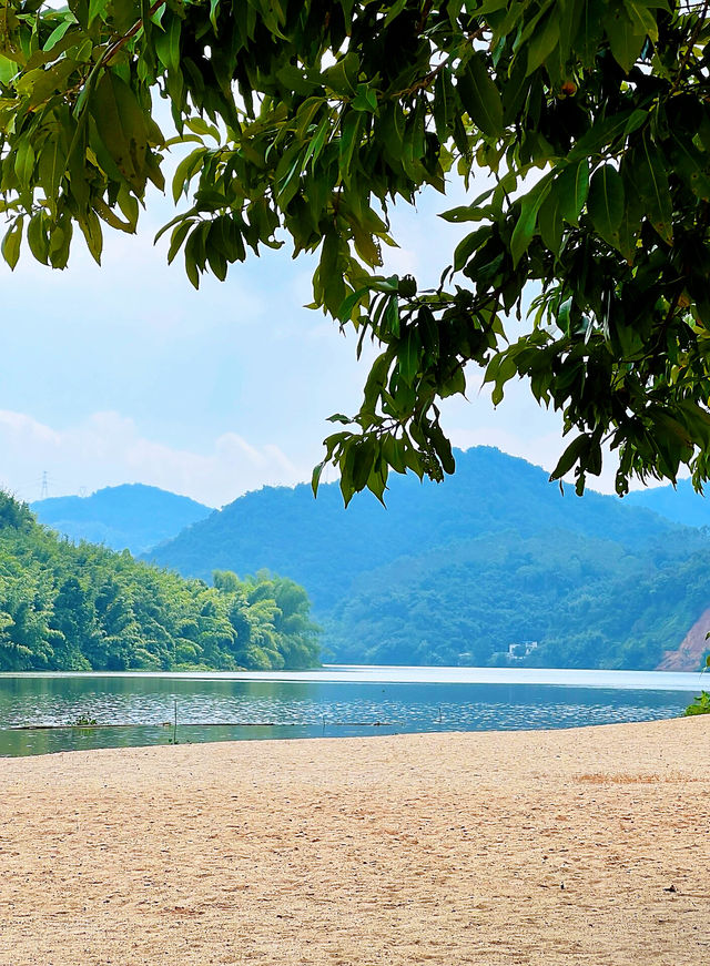 來自天鵝湖裡的民宿