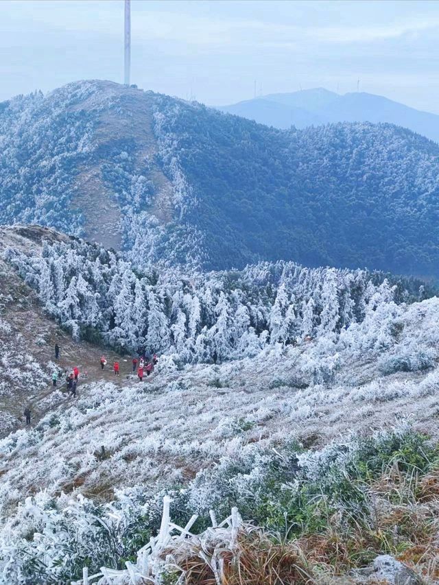 大容山雪冰景