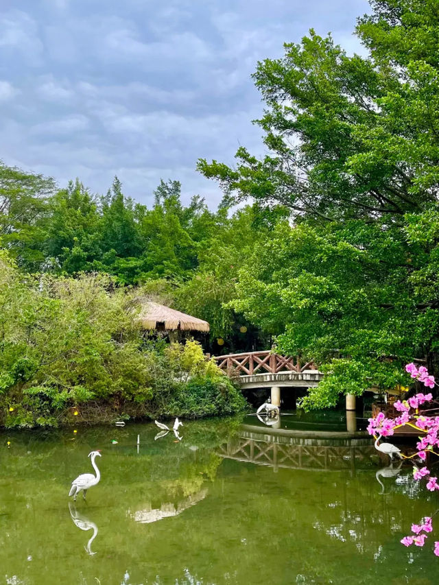 冬季泡湯·寒武紀·水晶溫泉