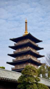 上海最美寺廟•寶山寺