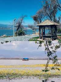 西昌親子遊第2天打卡觀鳥島濕地公園