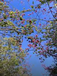 周末親子好去處！！！