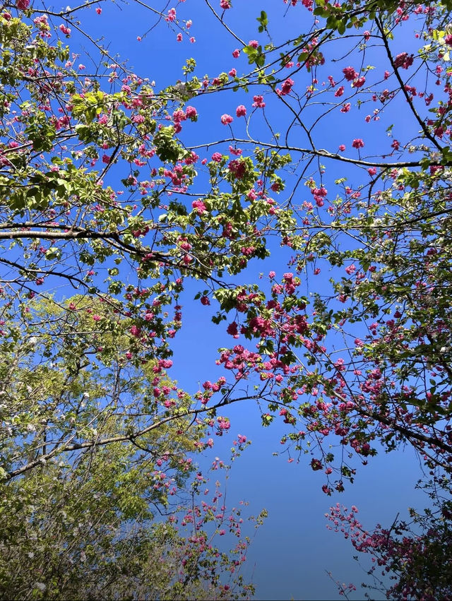 周末親子好去處！！！