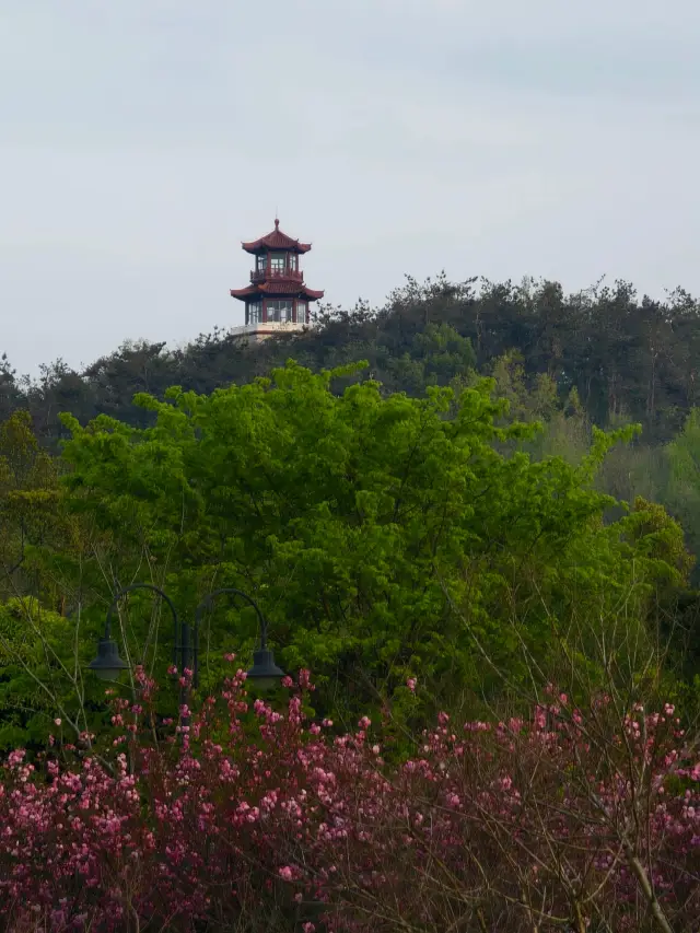 武漢馬鞍山森林公園｜市內親子遊玩好去處