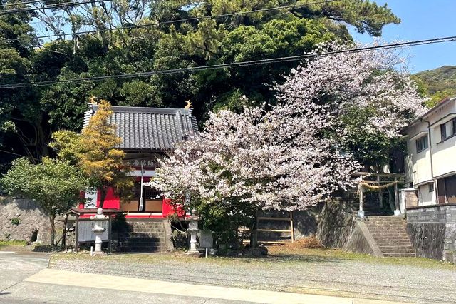 日本溫泉海景勝地|伊豆半島（1696）