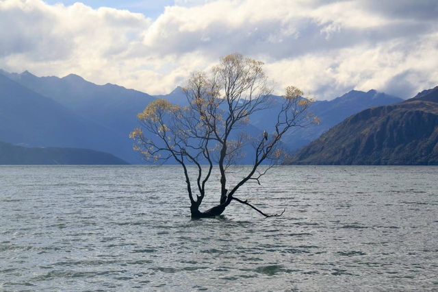 碧波仙境：新西蘭Tekapo湖區仙境