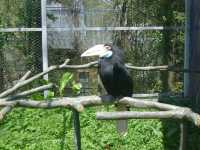 貴州第一動物王國——貴陽森林野生動物園