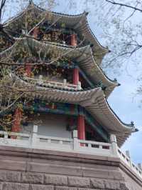 青島之行