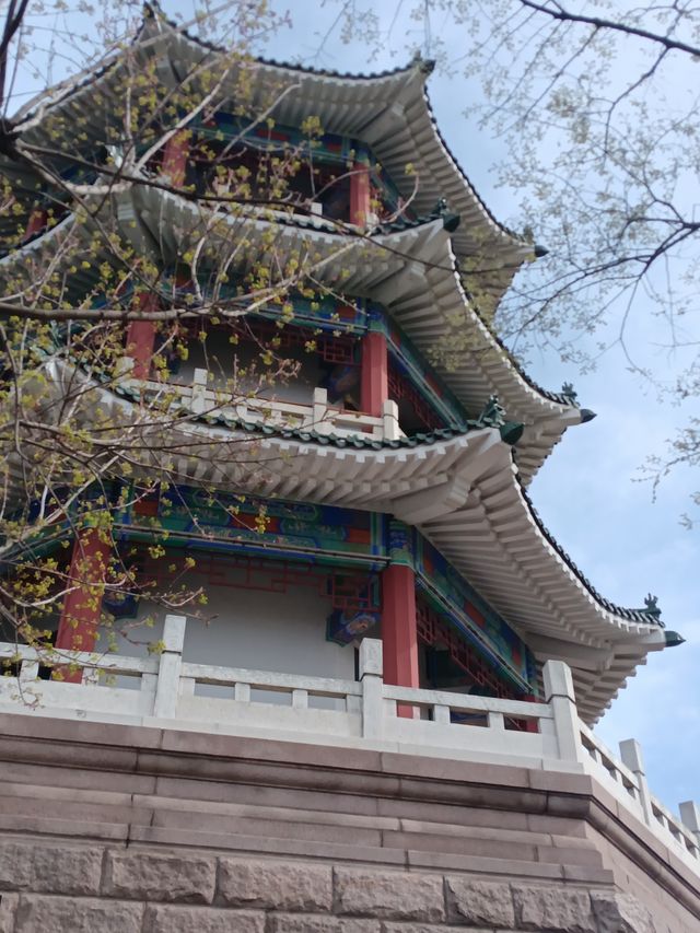 青島之行
