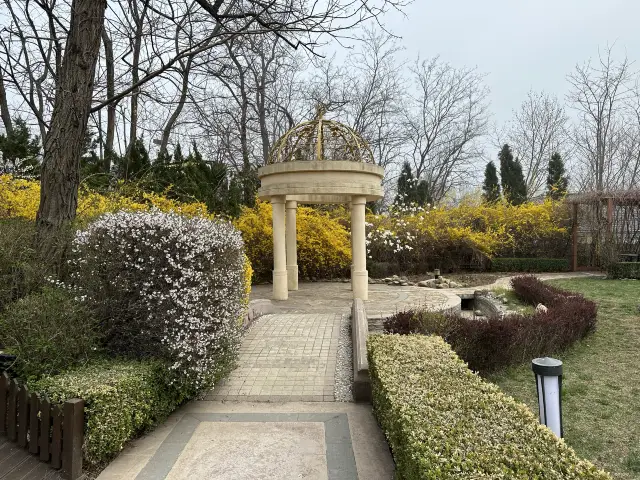 In early April, only the winter jasmine was blooming on Bangchui Island