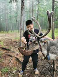 中國最後的馴鹿部落，親子自駕遊強烈推薦！！