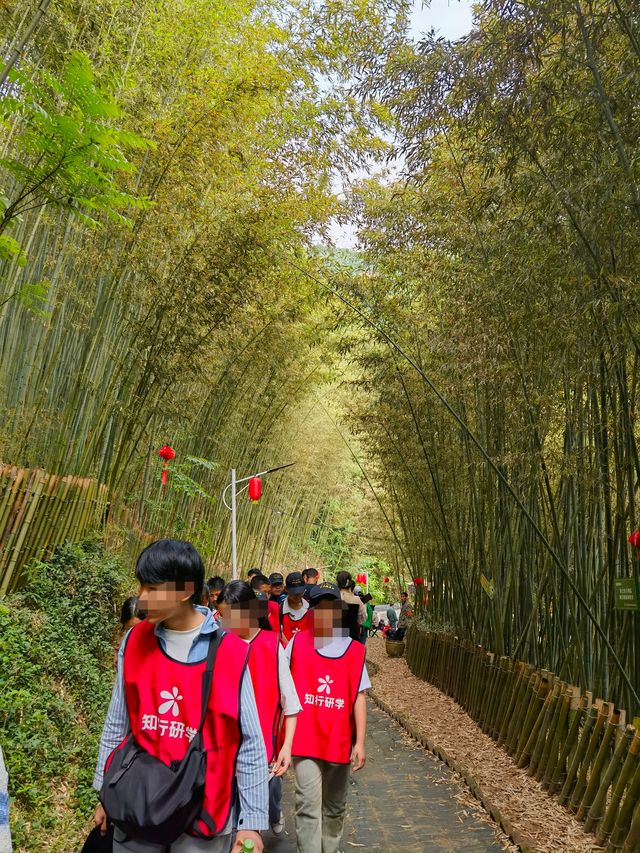 高溫即將來襲到鯨魚溝清涼一夏 高溫即將來襲到鯨魚溝清涼一夏