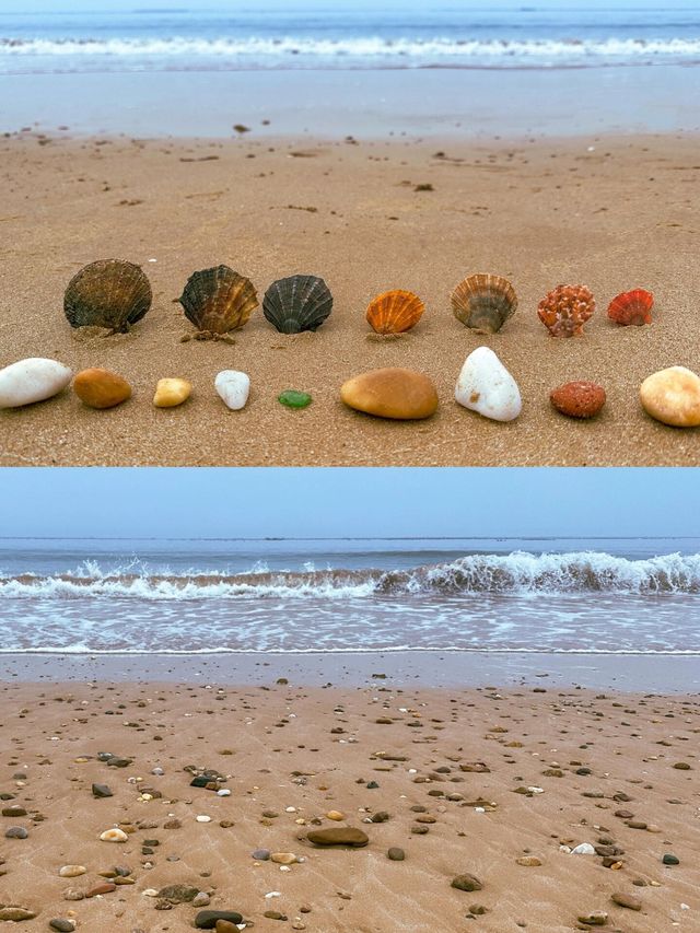 榮城｜親子遊絕不能錯過的寶藏海邊