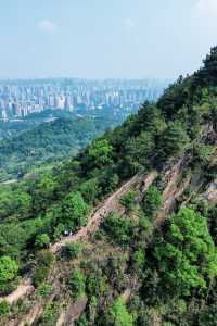 重慶森林之巔|小眾徒步路線等你挑戰！