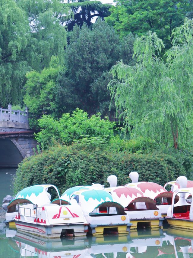 鄭州夏日避暑玩水好去處（附人民公園避暑攻略）