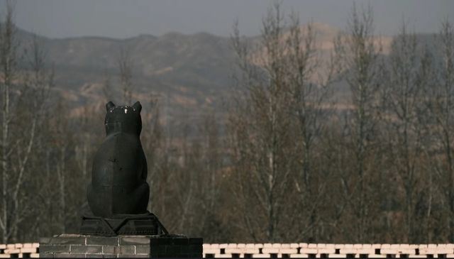 山西訪古|為了一隻貓建了一座廟，值得一喵