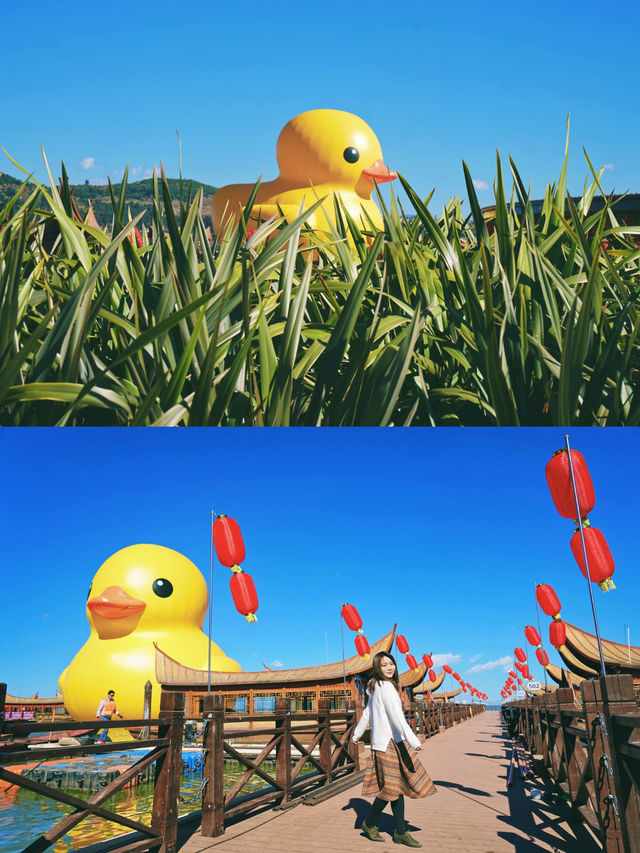 昆明高顏值溫泉來這看海鷗比海埂大壩香