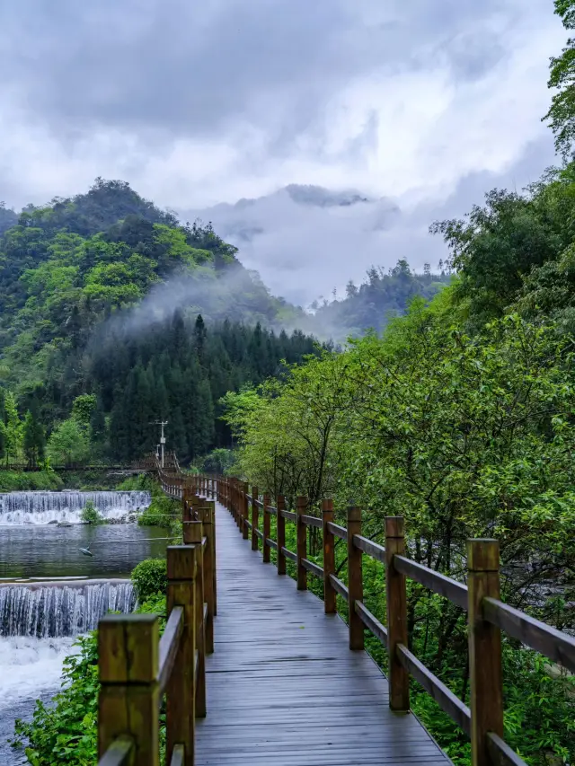 成都周邊2h藏在「雅安」的絕美森林避暑地