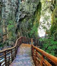 汐兒旅行|在山野納涼採摘·孟屯河谷