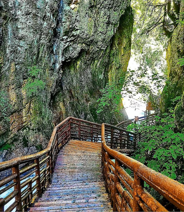 汐兒旅行|在山野納涼採摘·孟屯河谷