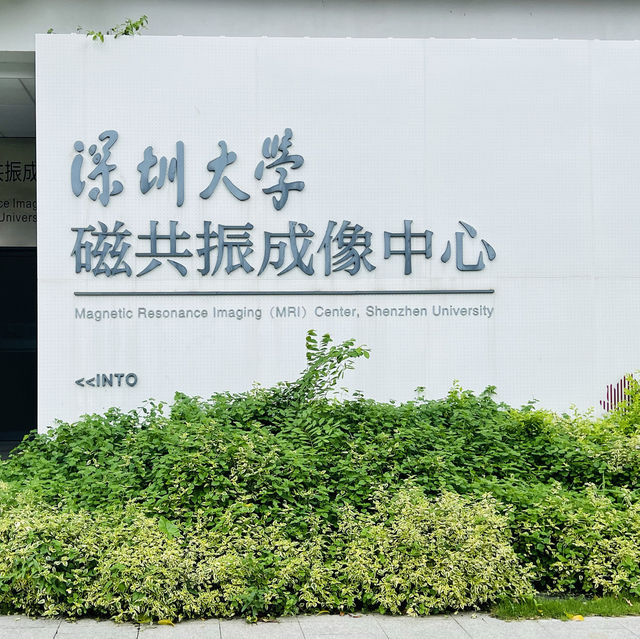 逛逛深圳大學滄海校區