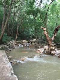 大口國家森林公園奇遇記