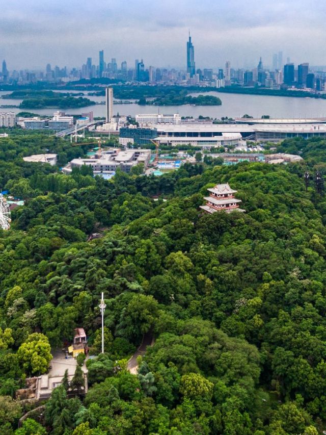 🌟 Nanjing's Top Family-Friendly Attractions! 🎠🐼🏛️