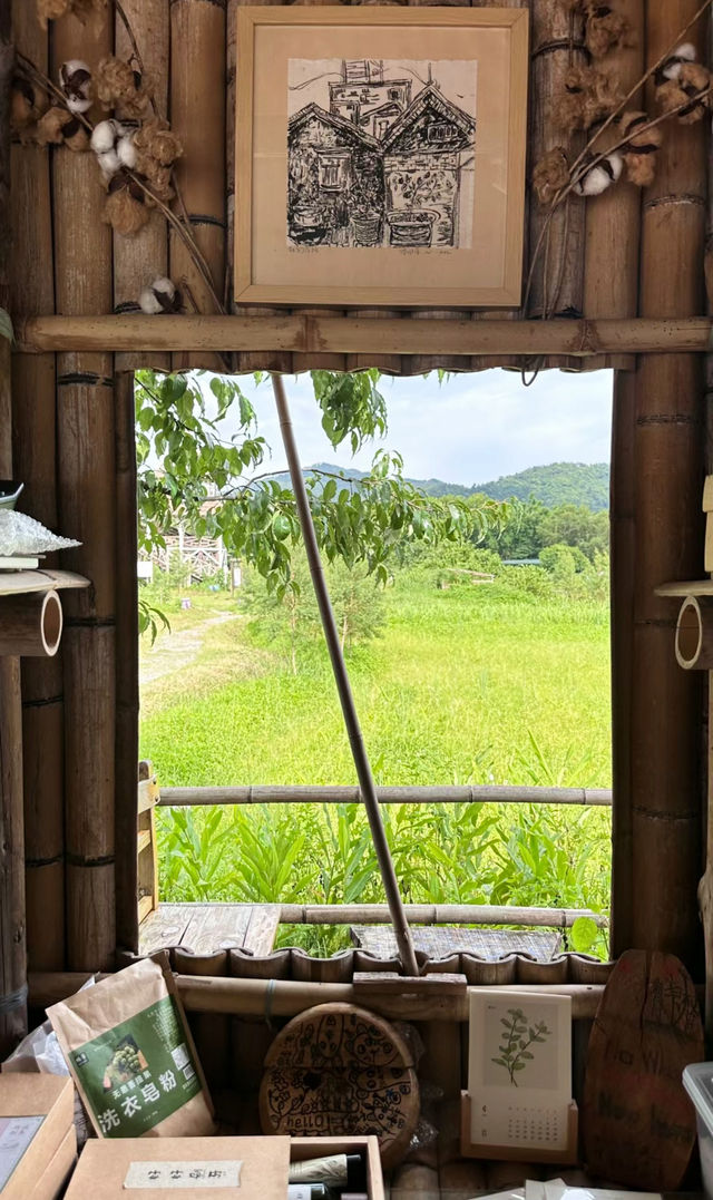 深圳自駕過中山 免費體驗戶外拓展打卡