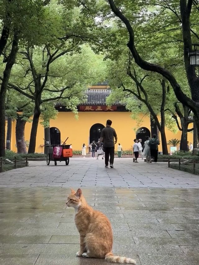 以為寒山寺已經很美了，知道我去了這裡