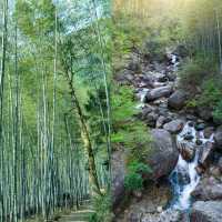高溫預警！寧波這 3 個地方能體驗 20 度的夏天