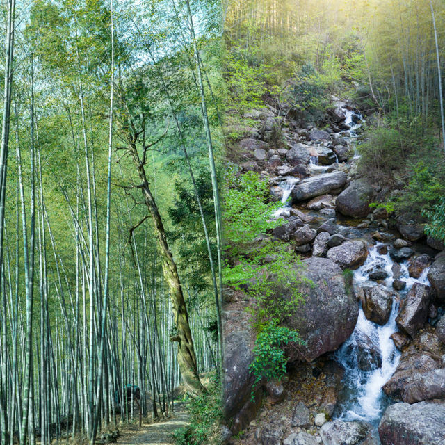 高溫預警！寧波這 3 個地方能體驗 20 度的夏天