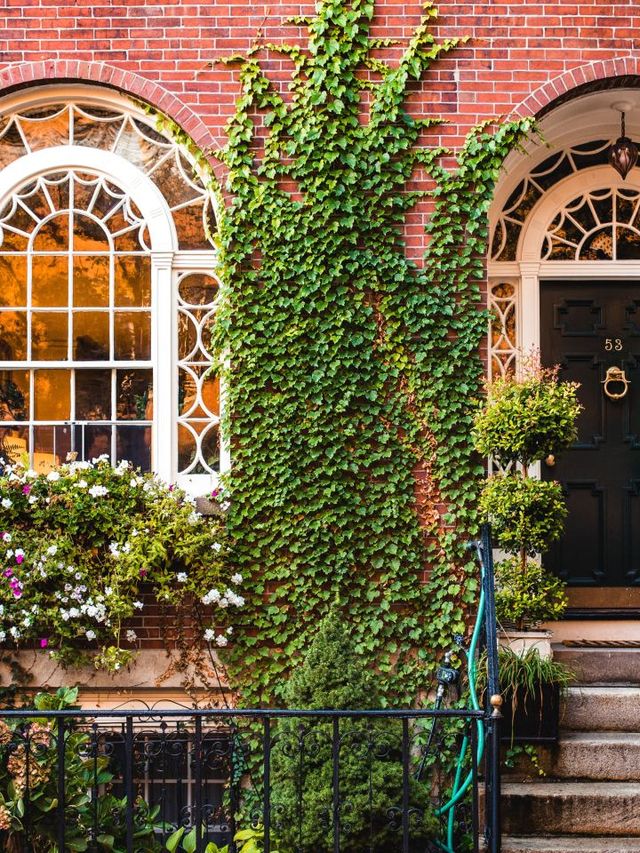 🌟 Boston's Best: Luxe Sleeps at Four Seasons 🛏️✨