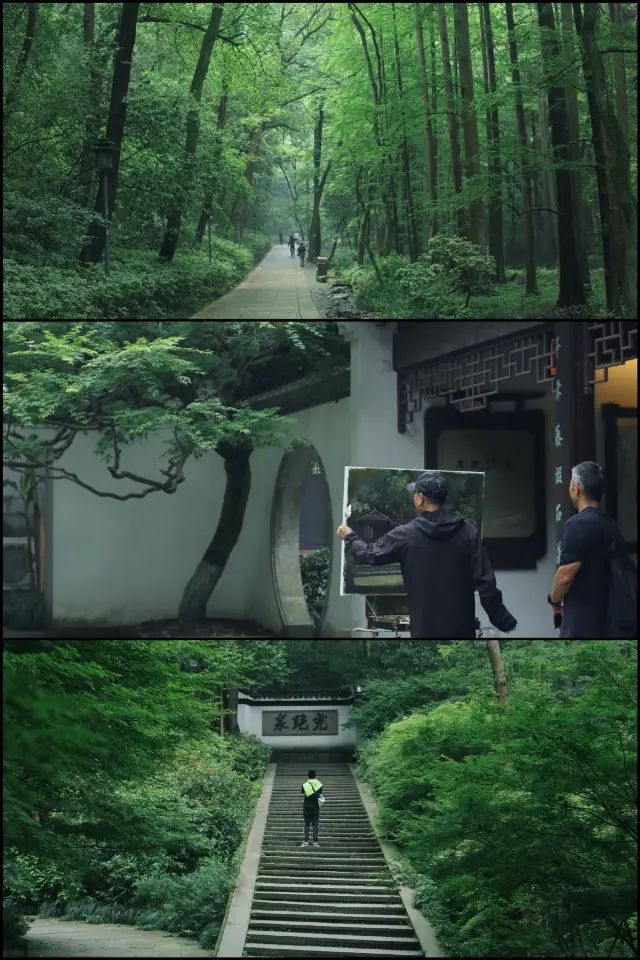 杭州虎跑｜以為西湖已經很美了 直到去了這裡…