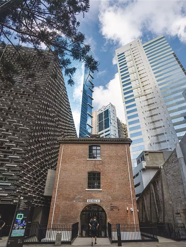 🇭🇰香港藝術監獄！？不要錯過香港這個寶藏景點❗️