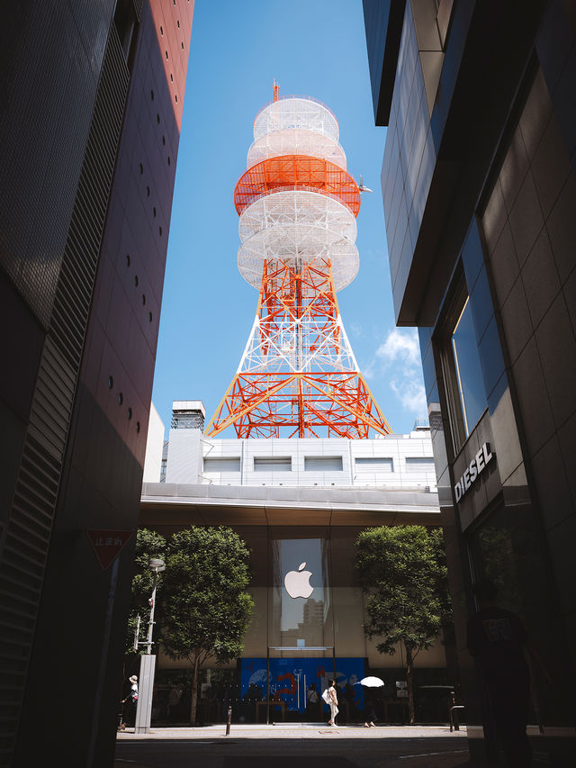 九州福岡city walk一日遊，浪漫的海濱城市