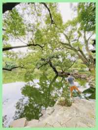 台州旅行台州有東湖風來花自落柳岸碧水潺