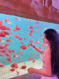 “闖入金魚夢境𓆡𓆝𓆟𓆜”東莞海洋館好好拍…