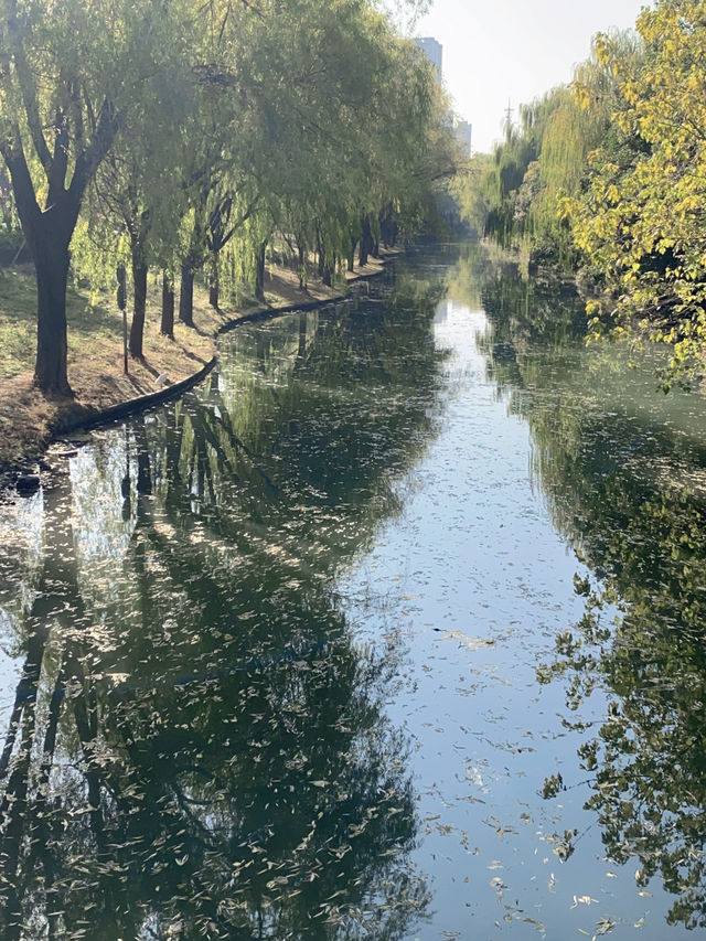 遠香湖秋色