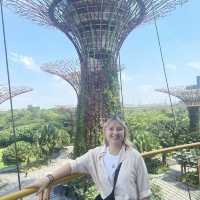 Gardens by the Bay - Skyway 🌴