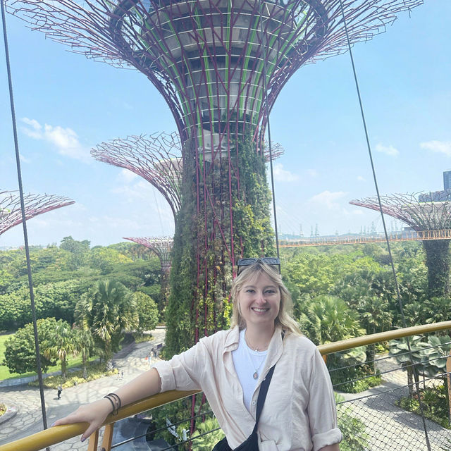 Gardens by the Bay - Skyway 🌴