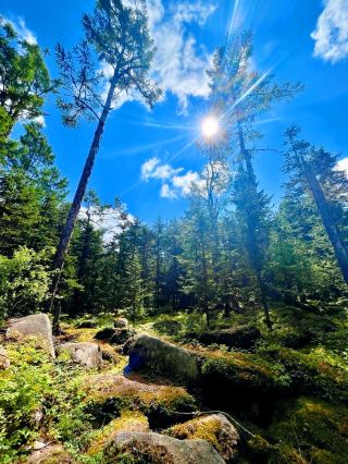 Treasure Recommendation: Linhai Qishi National Forest Park
