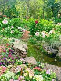 豐澤植物園，解鎖自然與文藝的完美邂逅