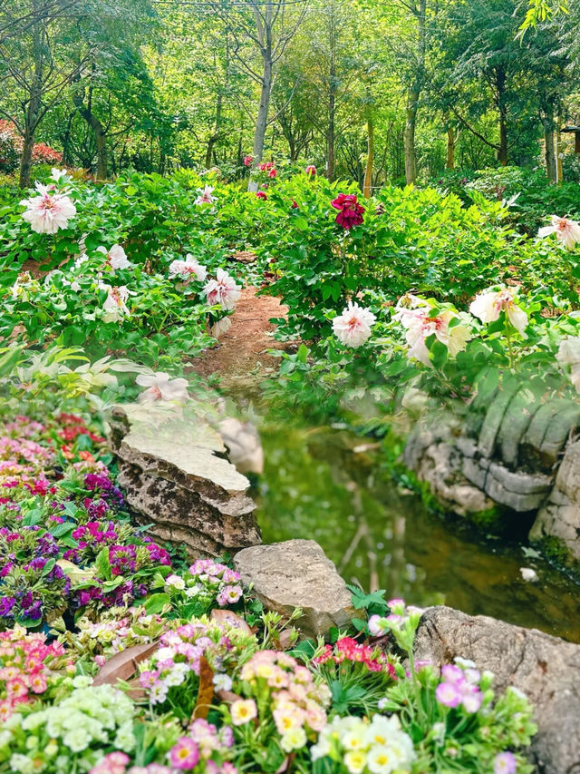 豐澤植物園，解鎖自然與文藝的完美邂逅