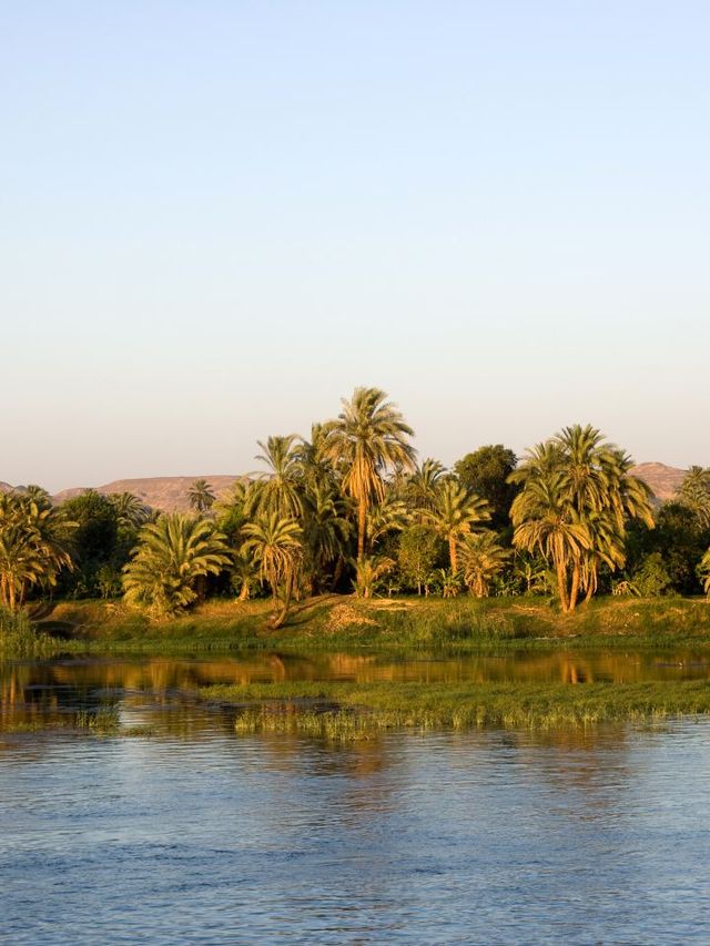 🌟 Discover Cairo's Treasures: Must-See Spots! 🌇
