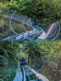 人生建議：夏天一定要去清遠古龍峽玩！