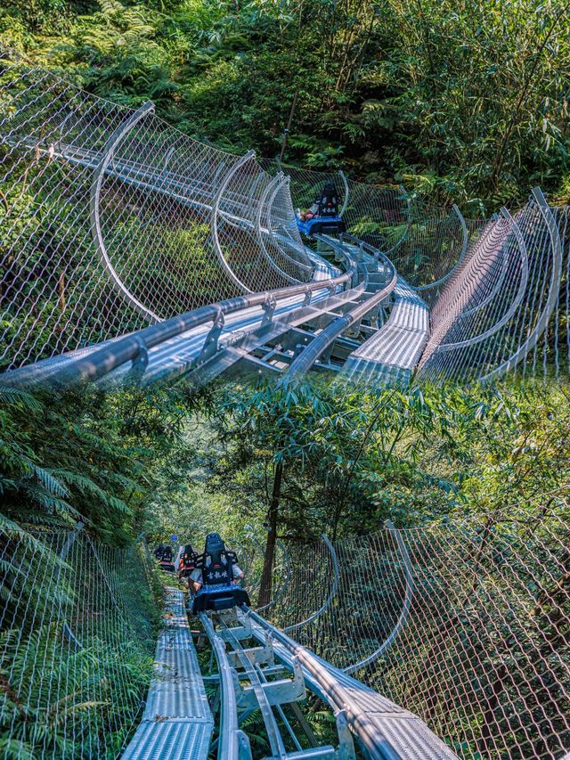 人生建議：夏天一定要去清遠古龍峽玩！