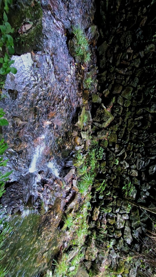 探秘皖南秘境，隱匿山林中的世外桃源，夏霖風景區