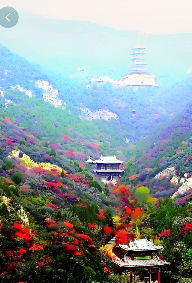 霜葉紅於二月花